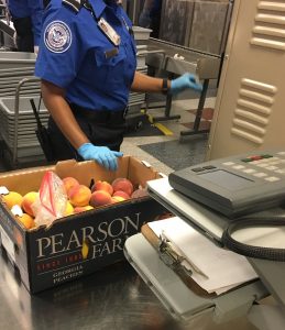 Box of Peaches Being Inspected by TSA