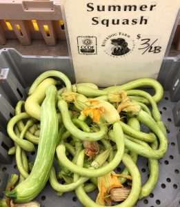 Summer Squash with Blossoms